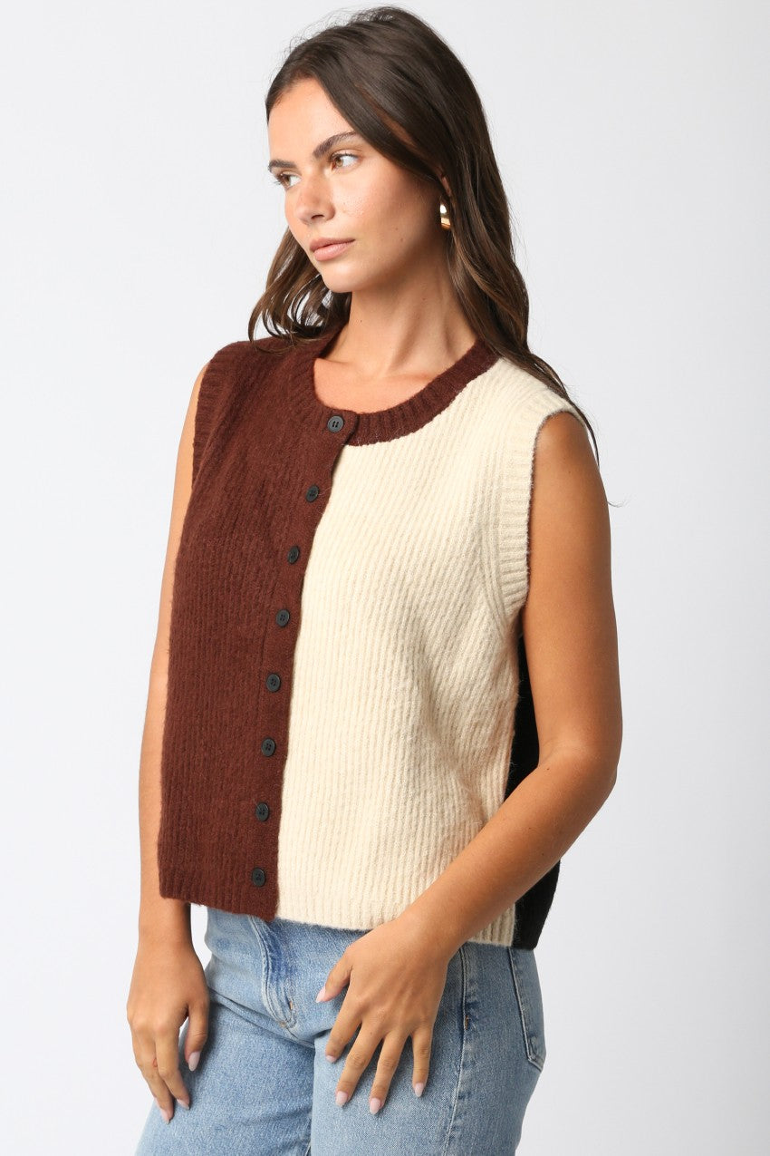 Buttoned Bliss Vest